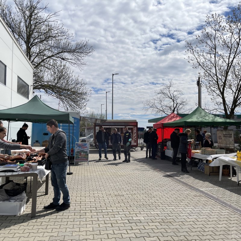 Tama termelői piac 32